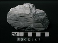 藏品(片岩)的圖片