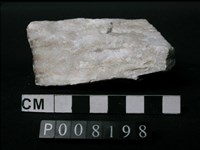 藏品(大理岩)的圖片