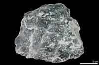 藏品(雲母片岩)的圖片