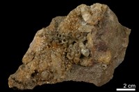 藏品(石英)的圖片