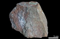 藏品(石英砂岩)的圖片