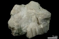 藏品(方解石/滑石)的圖片