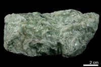 藏品(滑石)的圖片