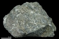 藏品(矽質片岩)的圖片