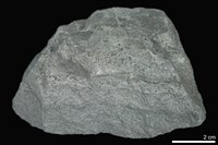 藏品(矽質片岩)的圖片