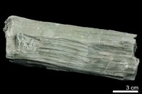 藏品(青石棉)的圖片