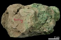 藏品(鈣鉻石榴子石)的圖片