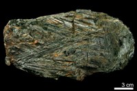 藏品(陽起石)的圖片