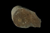 藏品(磁鐵礦)的圖片