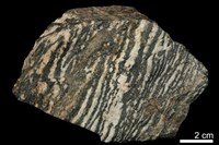 藏品(閃鋅礦)的圖片