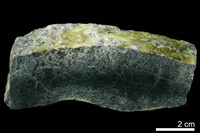 藏品(黝簾石)的圖片