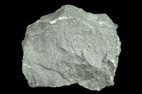 藏品(玄武岩)的圖片