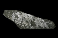 藏品(石膏)的圖片