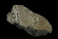 藏品(石膏)的圖片