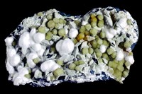 藏品(白鈣沸石/纖維鈣矽酸石/葡萄石/方解石)的圖片