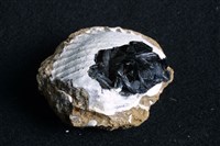 藏品(藍鐵礦)的圖片