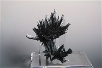 藏品(輝銻礦)的圖片