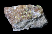 藏品(多矽鈣鈾礦)的圖片