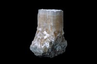 藏品(天然鹼)的圖片