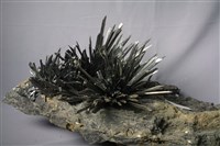 藏品(輝銻礦)的圖片