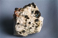 藏品(布格電氣石)的圖片