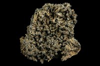 藏品(銅釩鉛鋅礦)的圖片