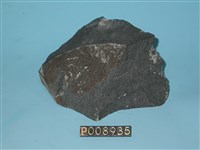 藏品(煌斑岩)的圖片