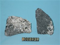 藏品(角閃岩)的圖片