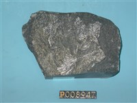 藏品(煌斑岩)的圖片