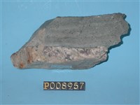 藏品(煌斑岩)的圖片