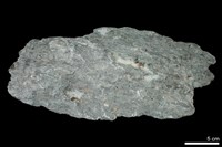 藏品(磁鐵礦-鐵白雲石-滑石片岩)的圖片