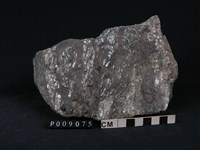 藏品(石榴子石-角閃石-白雲母片岩)的圖片