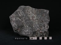 藏品(石榴子石-雲母-角閃石片岩)的圖片