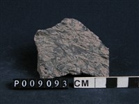 藏品(石榴子石-藍直閃石片岩)的圖片