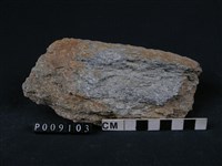 藏品(白雲母-石英片岩)的圖片