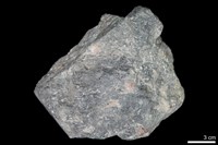 藏品(石榴子石-角閃石-白雲母片岩)的圖片