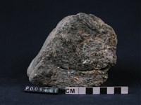 藏品(陽起石-滑石片岩)的圖片