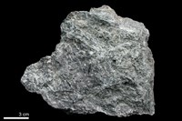 藏品(陽起石-綠泥石片岩)的圖片