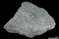 藏品(白雲母-角閃石片岩)的圖片