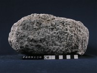 藏品(白雲母-鈉長石-石英片岩)的圖片