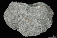 藏品(雲母-綠泥石-石英片岩)的圖片