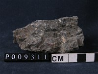 藏品(輝長岩)的圖片