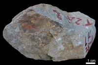 藏品(砂岩)的圖片