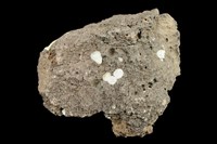 藏品(玄武岩)的圖片