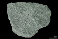 藏品(雲母片岩)的圖片