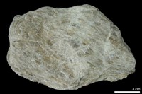 藏品(雲母片岩)的圖片