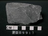 藏品(片岩)的圖片