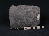 藏品(石墨片岩)的圖片