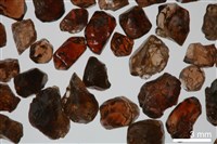 藏品(鋯石)的圖片