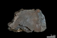 藏品(錳核)的圖片